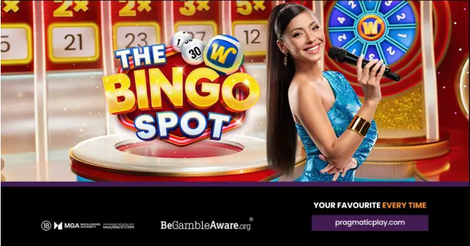 The Bingo Spot